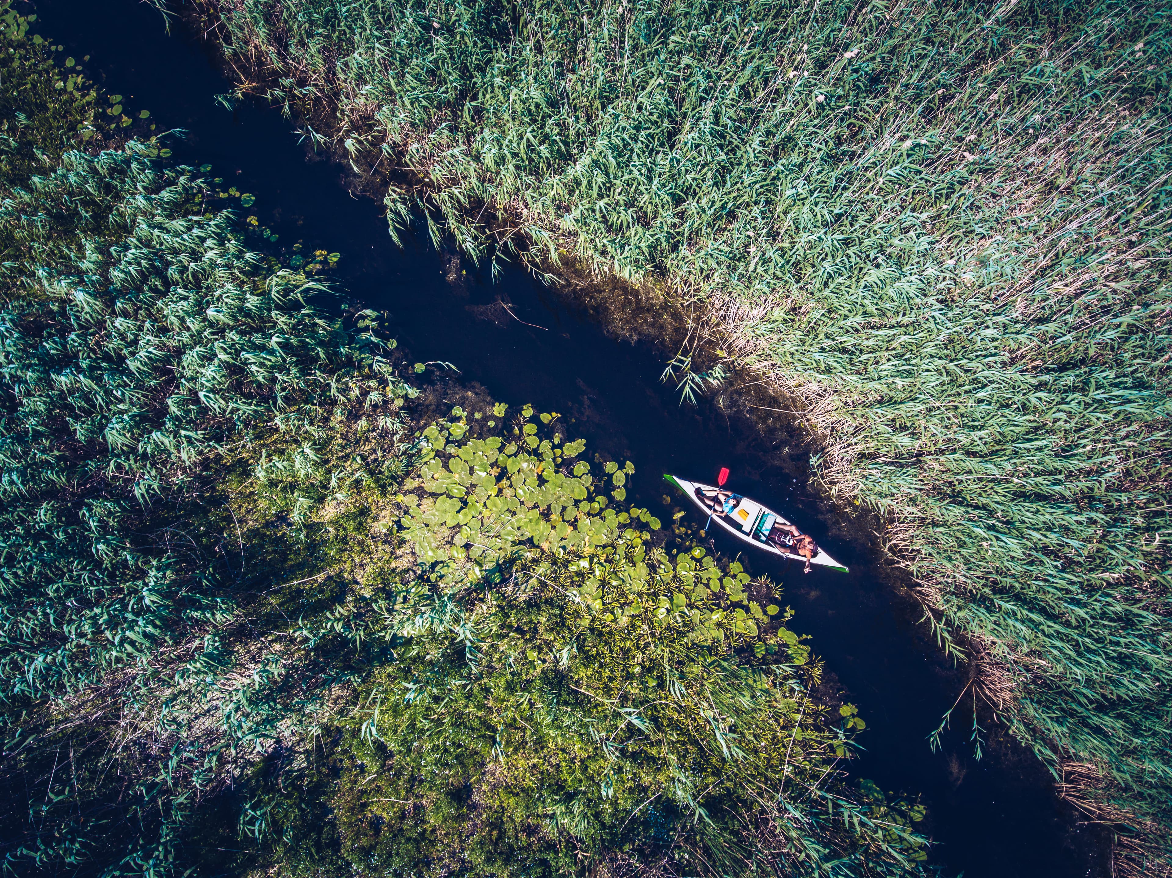 Explore Danube Delta on a day trip from Bucharest - photo 3
