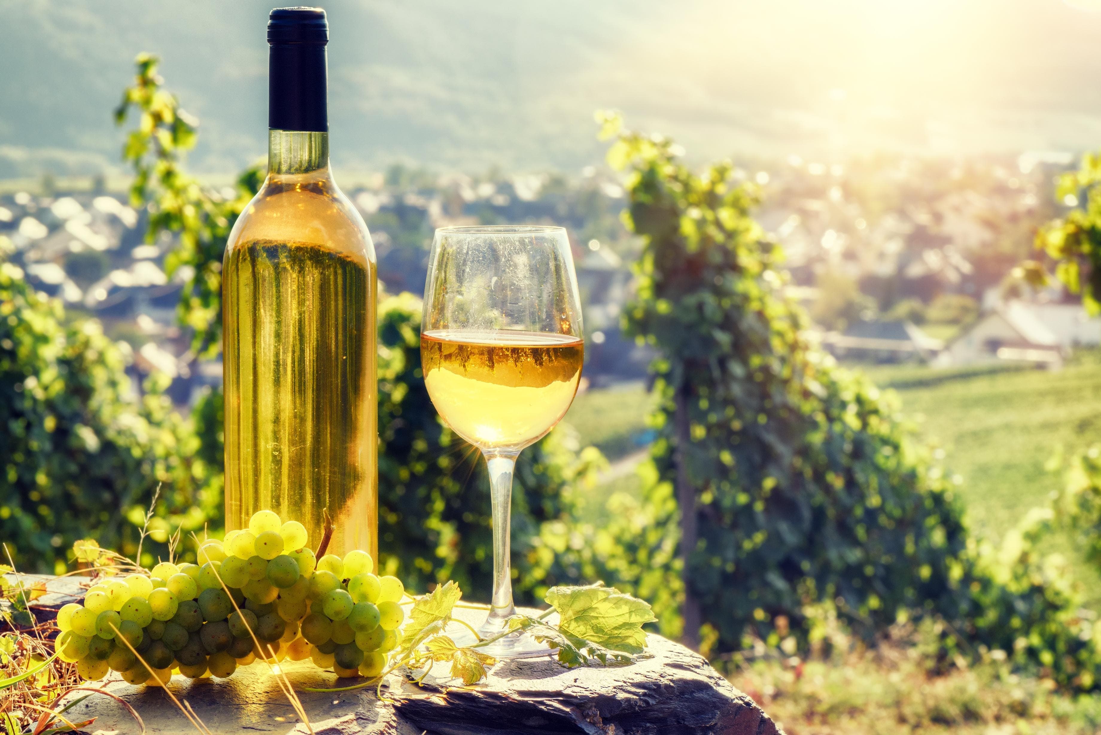 Romanian Wineries Tour from Bucharest - photo 3