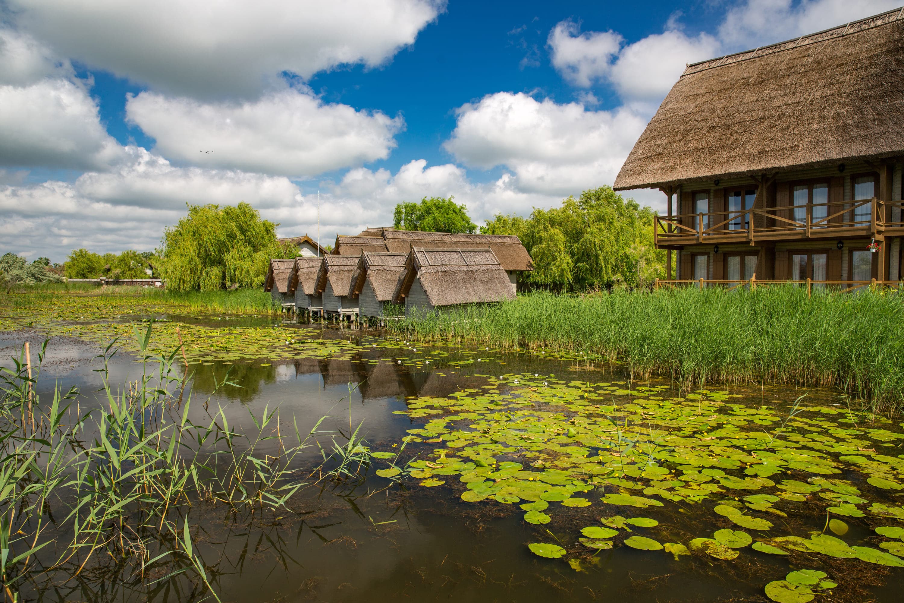 Explore Danube Delta on a day trip from Bucharest - photo 2